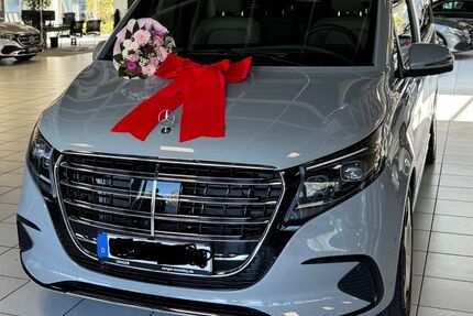 Mercedes-Benz V 300 3.899 km 86.500 &euro; Haren 49733