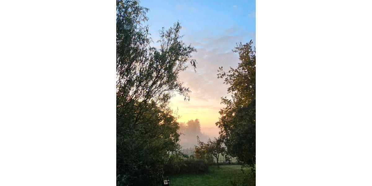 Einfamilienhaus Edewecht - 11 Zimmer, 300 m&sup2;, 465.000&euro; | Angebot:25640645