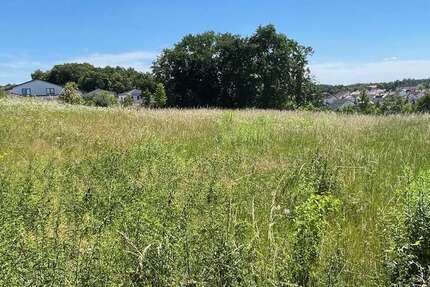 Grundstück zu verkaufen in Burglengenfeld 494.549 € 1032 m² zimmer