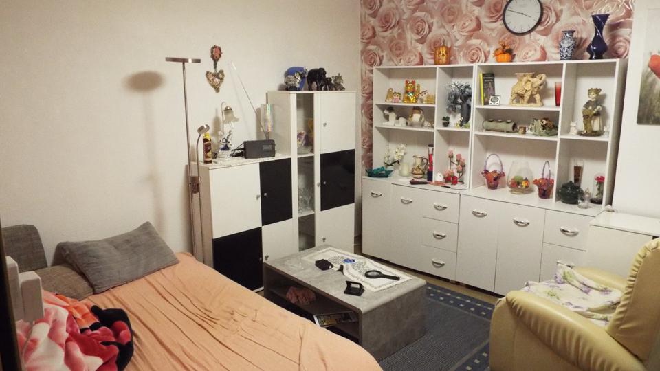 HofSaale 2-Zimmer , Küche , Bad mit eventueller GArtennutzung 2 zimmer