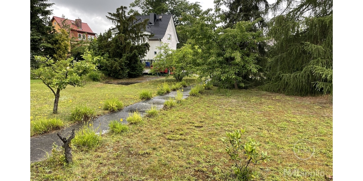 SCHÖNES BAUGRUNDSTÜCK FÜR EINFAMILIENHAUS IM SÜDÖSTLICHEN SPECKGÜRTEL VON BERLIN! - Grundstück Schulzendorf Schulzendorf bei Eichwalde | Angebot:23404483
