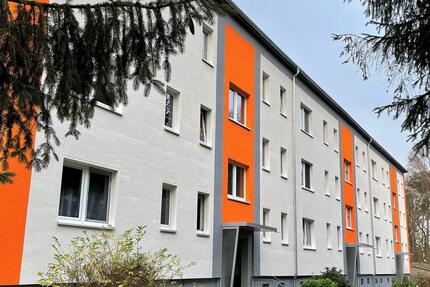 Renovierte 1- Zimmer Wohnung! 1 zimmer