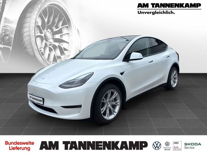 Model Y