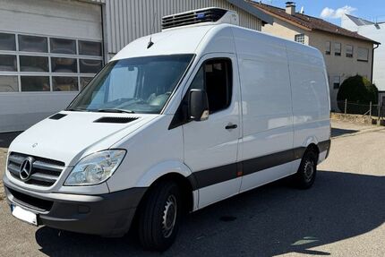 Mercedes-Benz Sprinter 545.000 km 19.500 &euro; Remseck 71686