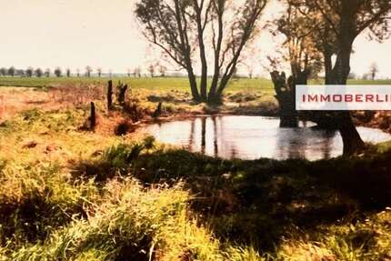 Grundstück zu verkaufen in Marlow 25.000 € 2891 m² zimmer