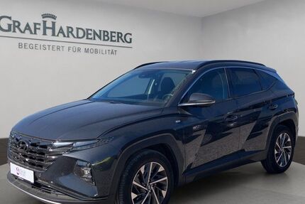 Hyundai TUCSON 166.693 km 18.990 &euro; Landau 76829