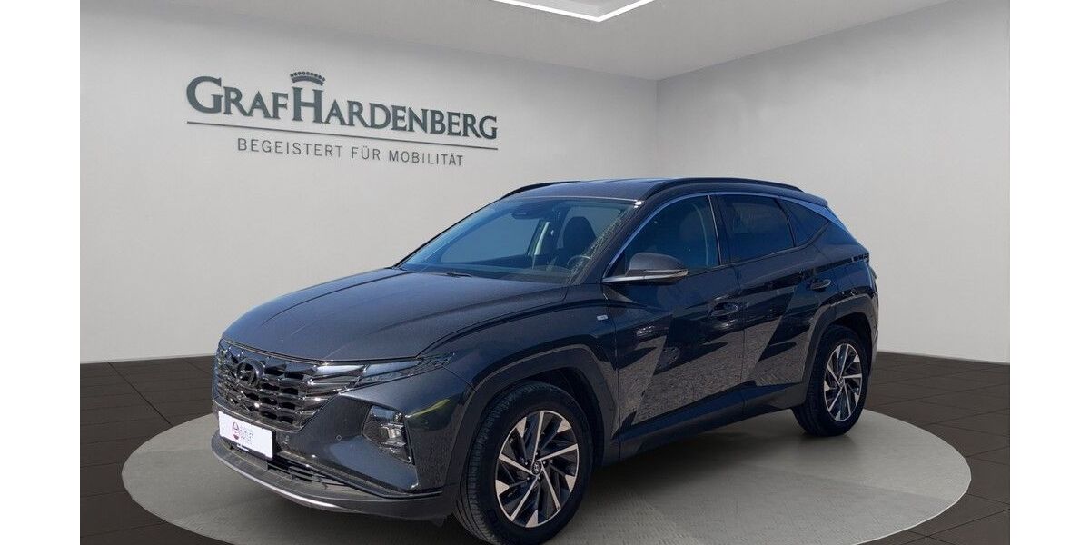 Hyundai TUCSON 166.693 km 18.990 &euro; Landau 76829