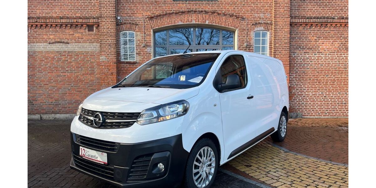 Opel Vivaro 110.909 km 16.999 &euro; Delingsdorf 22941