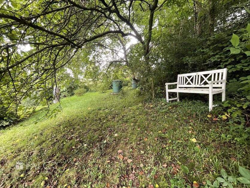 Weck mich aus dem Dornröschenschlaf! zimmer