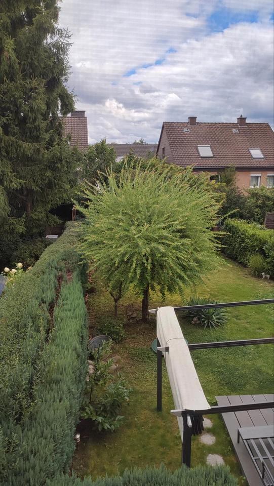 Große modernisierte AltbauWohnung zu verkaufen
