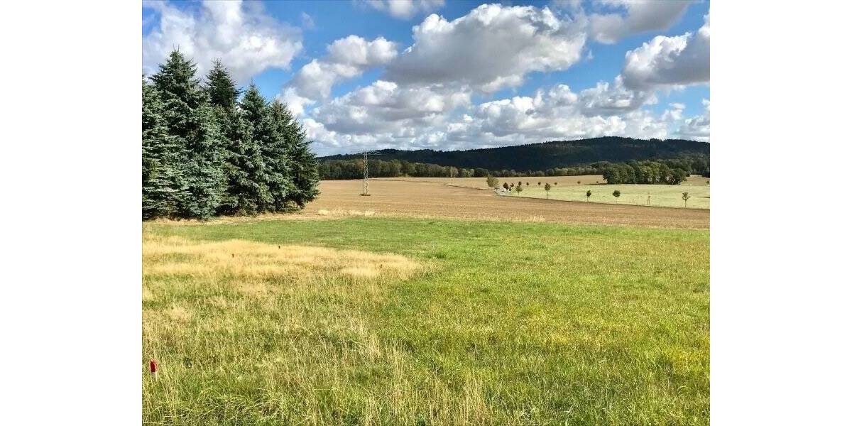 Grundstück Steina - 250.000&euro; | Angebot:19954705