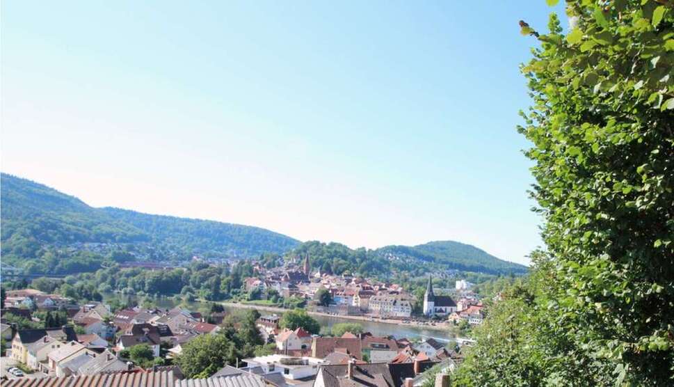 Grundstück zu verkaufen in Neckargemünd 460.000 € 968 m²