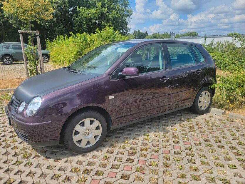 Polo