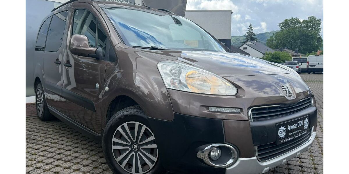 Peugeot Partner 159.980 km 9.999 &euro; Bickenbach 64404