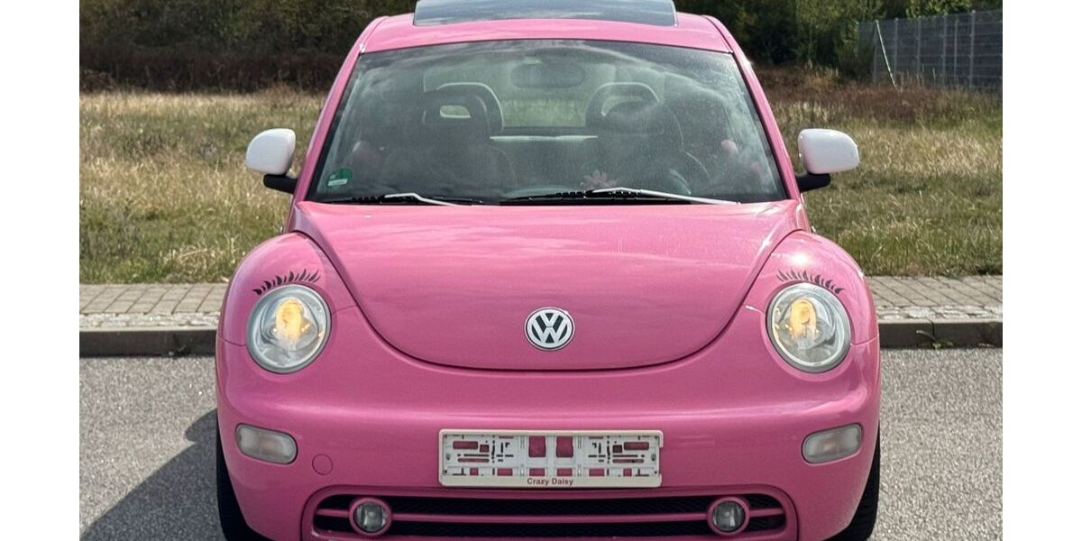 VW New Beetle 179.810 km 2.990 &euro; Berlin 12043