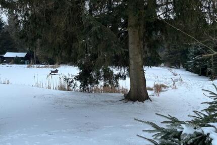 Freizeitgrundstück mit Teichen bei Weißenstadt zimmer