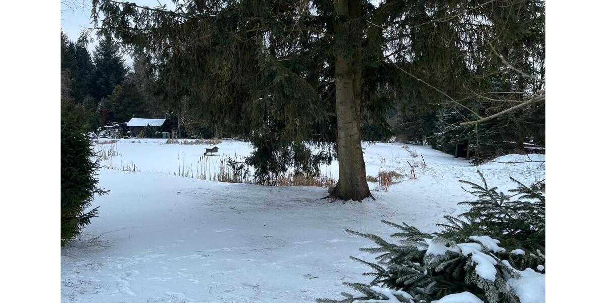 Grundstück Zell im Fichtelgebirge - 28.000&euro; | Angebot:24384859