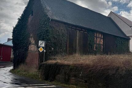 Haus Marktheidenfeld - 1 Zimmer, 563 m&sup2;, 100.000&euro; | Angebot:25995351