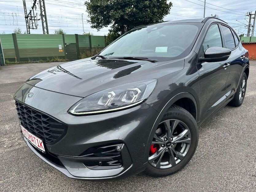 Kuga