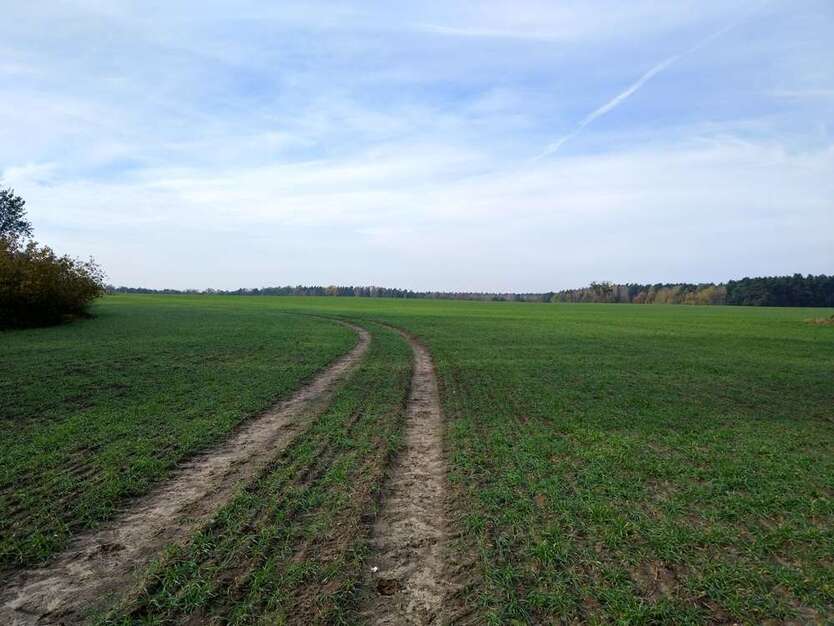 Grundstück zu verkaufen in Stahnsdorf Güterfelde 49.000 € 10370 m²