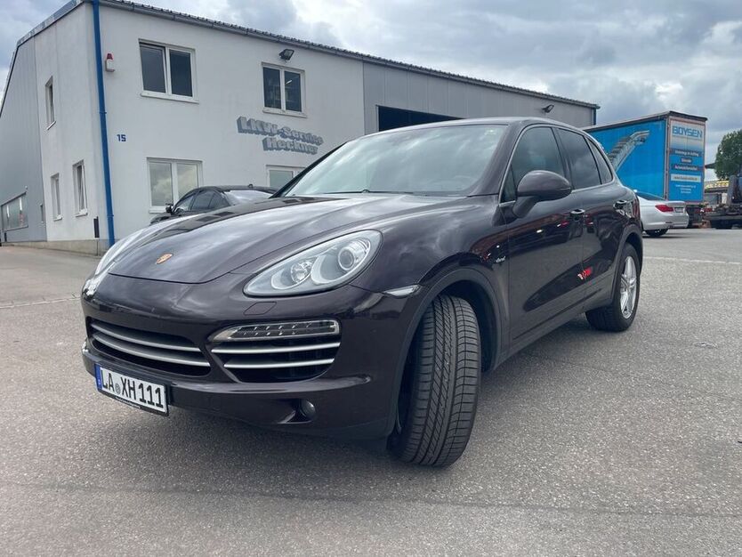 Cayenne