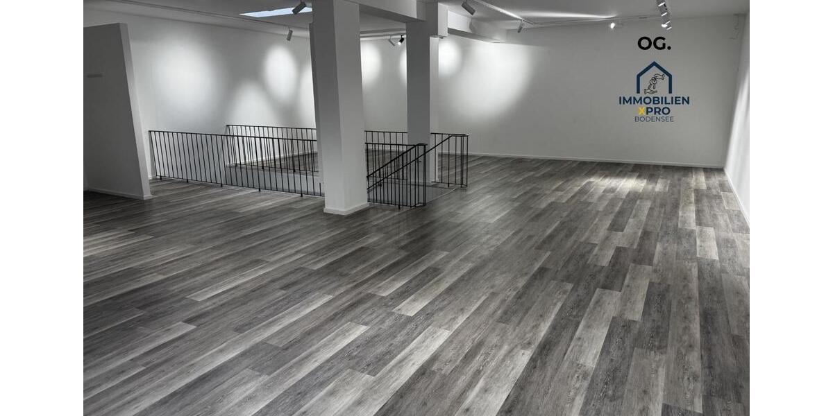 Gewerbeobjekt Singen (Hohentwiel) - 4.500&euro; | Angebot:24803585