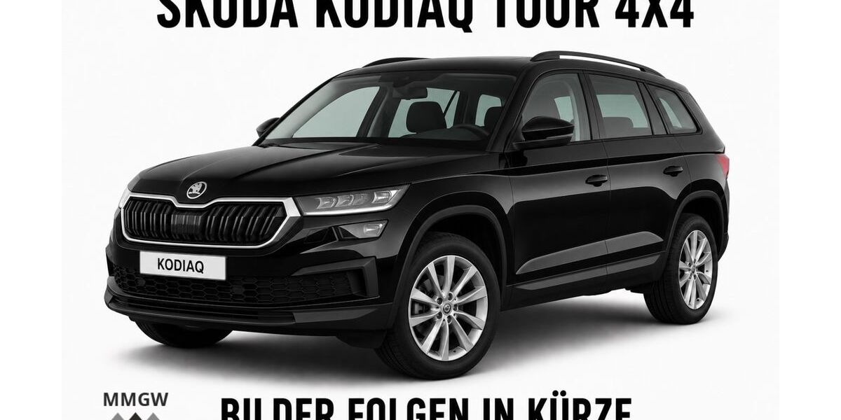 Skoda Kodiaq 143.000 km 26.990 &euro; Bensheim 64625