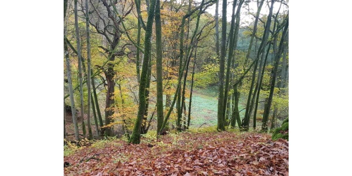 Etagenwohnung Limburg an der Lahn - 2 Zimmer, 55 m&sup2;, 1.130&euro; | Angebot:25449507