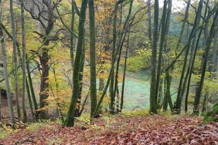 Wohnung Limburg an der Lahn - 2 Zimmer, 55 m&sup2;, 1.130&euro; | Angebot:25449507