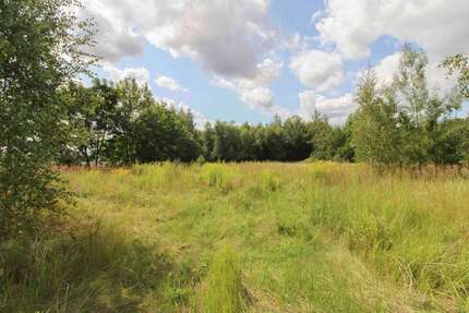 Grundstück Chemnitz Adelsberg - 222.000&euro; | Angebot:25366843