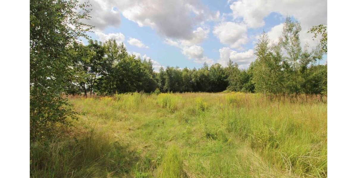 Grundstück Chemnitz Adelsberg - 222.000&euro; | Angebot:25366843