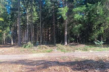 Grundstück Bad Waldsee - Osterhofen Osterhofen - 50.000&euro; | Angebot:27326224