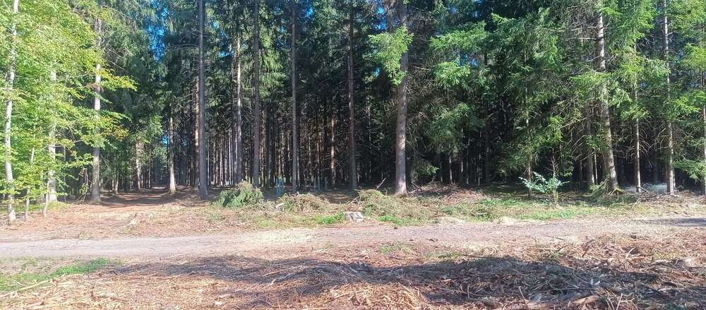 Grundstück Bad Waldsee - Osterhofen Osterhofen - 50.000&euro; | Angebot:27326224