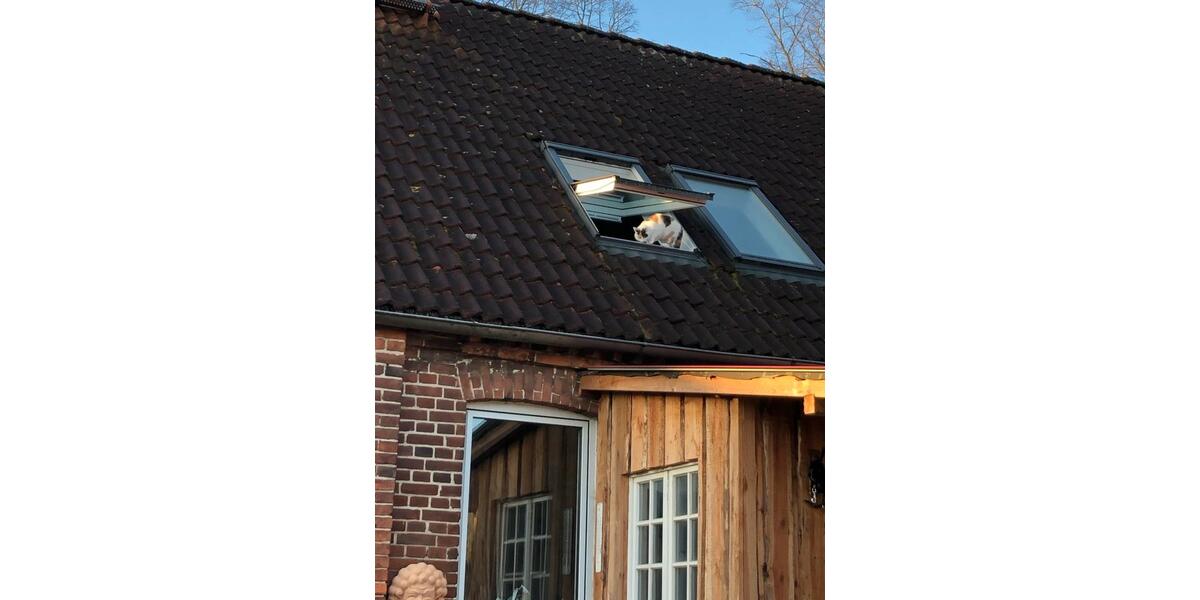 Einfamilienhaus Lübz - 380.000&euro; | Angebot:27136681