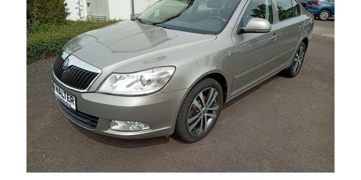 Skoda Octavia 134.600 km 4.900 &euro; Rastenberg 99636