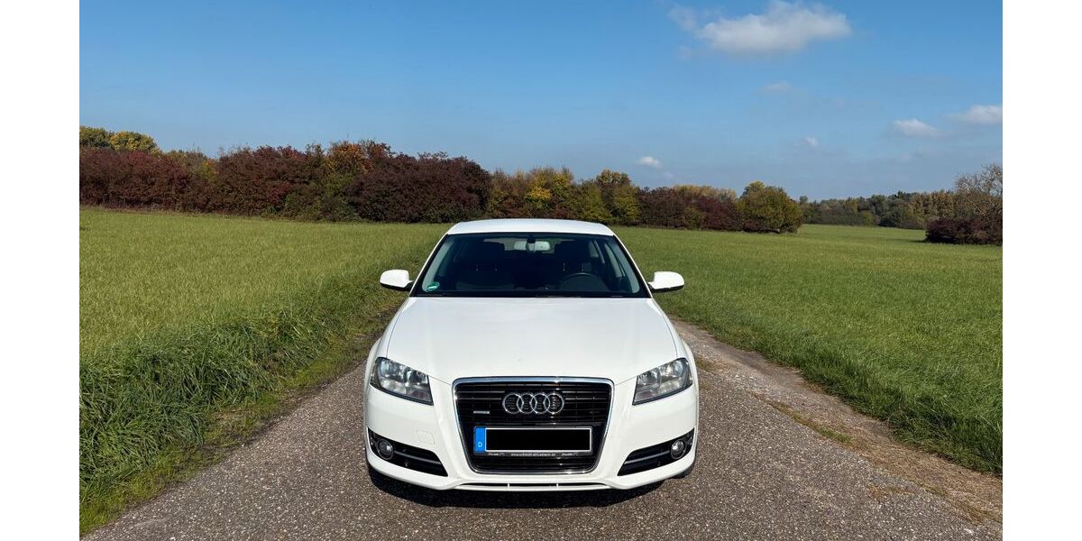 Audi A3 182.000 km 7.100 € Oberhausen-Rheinhausen 68794