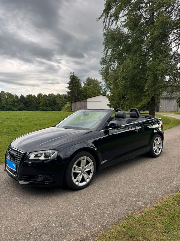 A3