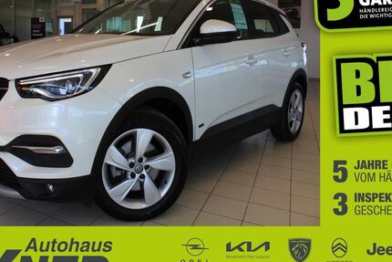 Opel Grandland (X) 46.571 km 16.950 &euro; Hof 95032