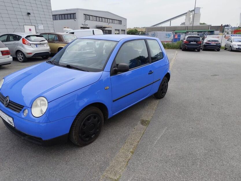 Lupo