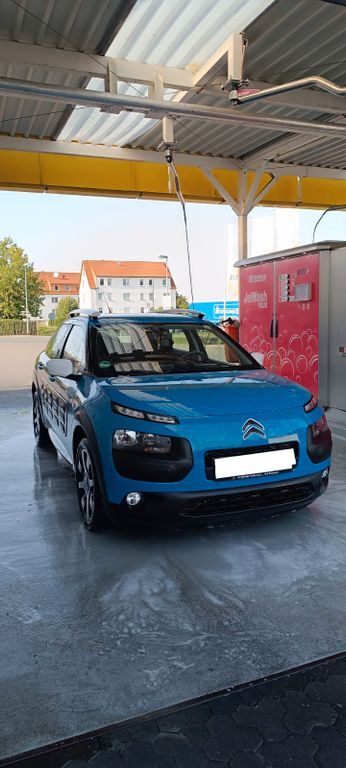 C4 Cactus