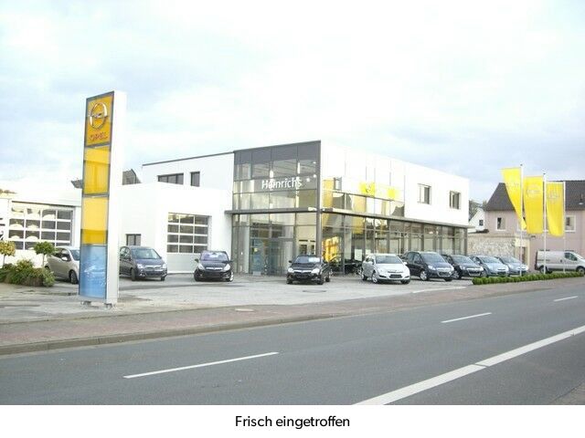 Opel Grandland (X) 19.250 km 21.350 &euro; Detmold 32758