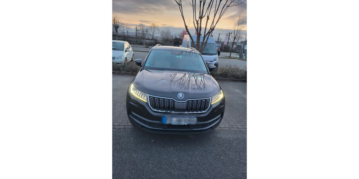 Skoda Kodiaq 175.000 km 18.999 &euro; Bad Nauheim 61231