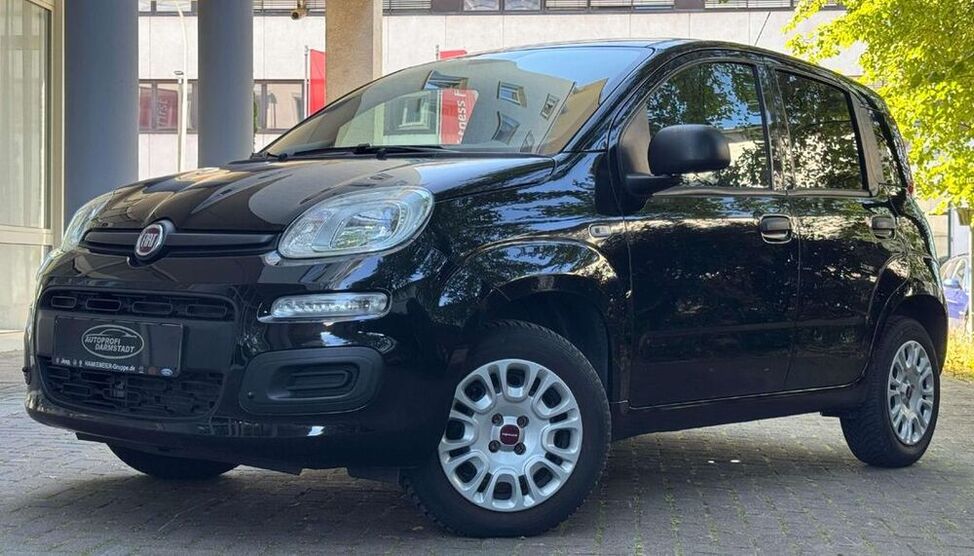 Panda