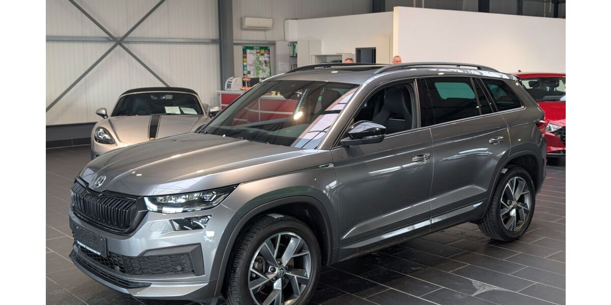 Skoda Kodiaq 81.000 km 35.900 &euro; Weinheim 69469