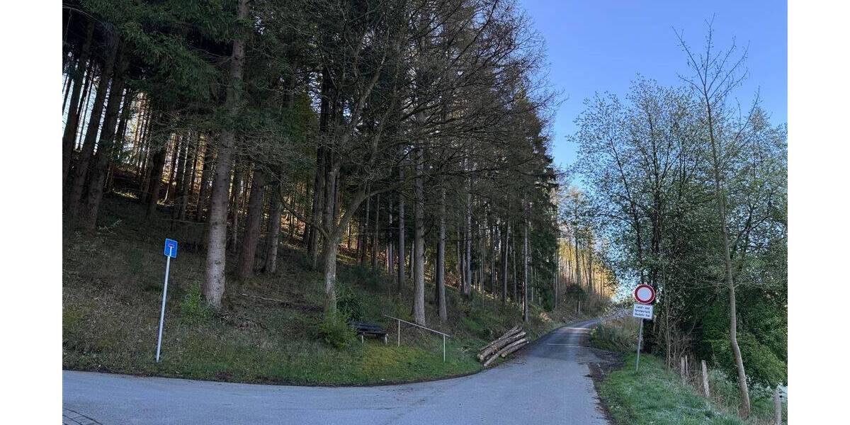 Mehrfamilienhaus, Wohnhaus Schmallenberg Harbecke - 9 Zimmer, 231 m&sup2;, 450.000&euro; | Angebot:26219084