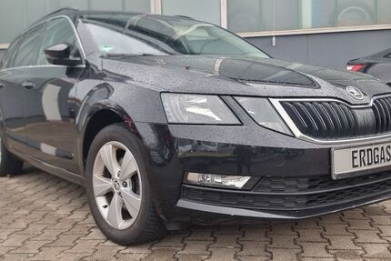 Skoda Octavia 142.500 km 10.898 &euro; Dessau-Roßlau 06847
