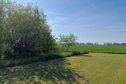 Grundstück Sonnewalde - 10.000&euro; | Angebot:25735457
