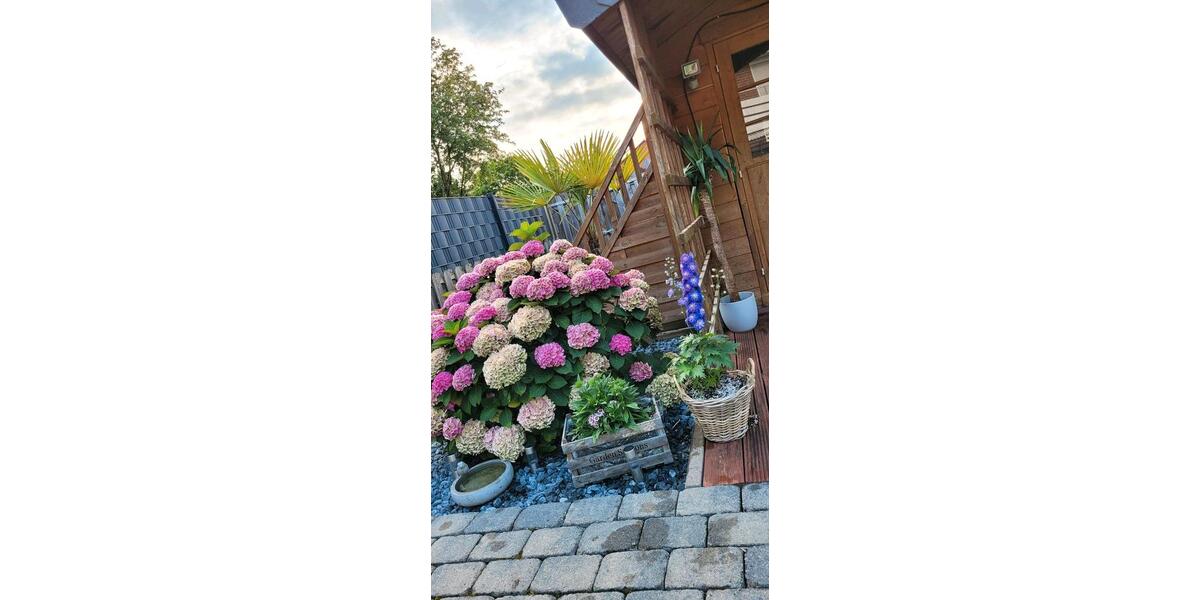 Reihenhaus Schwarmstedt - 4 Zimmer, 107 m&sup2;, 279.000&euro; | Angebot:26109347