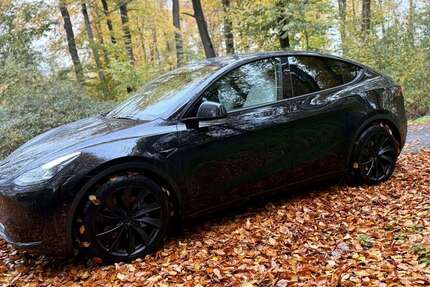 Tesla Model Y 39.200 km 34.900 &euro; Stockstadt am Rhein 64589