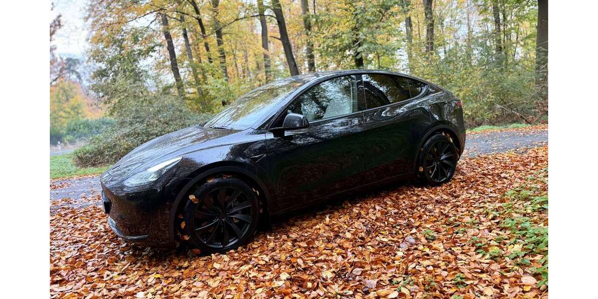 Tesla Model Y 39.200 km 34.900 &euro; Stockstadt am Rhein 64589